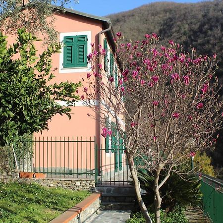 Casa Laura Villa Zoagli Kültér fotó