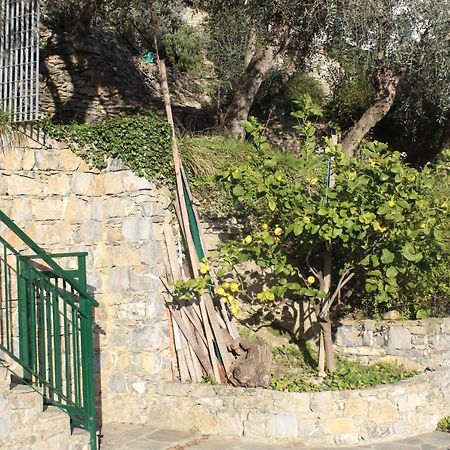 Casa Laura Villa Zoagli Kültér fotó