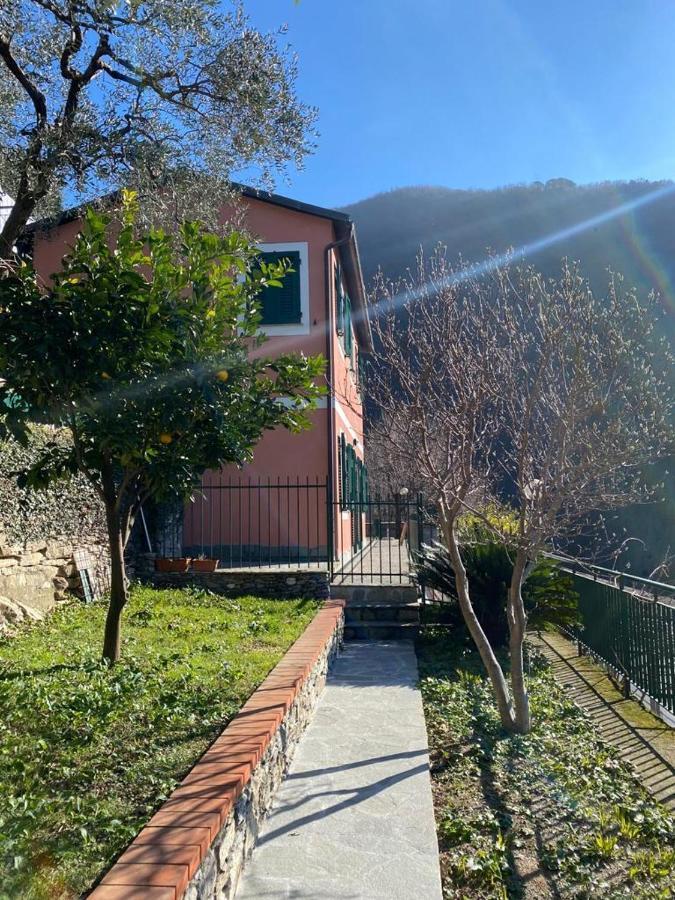 Casa Laura Villa Zoagli Kültér fotó