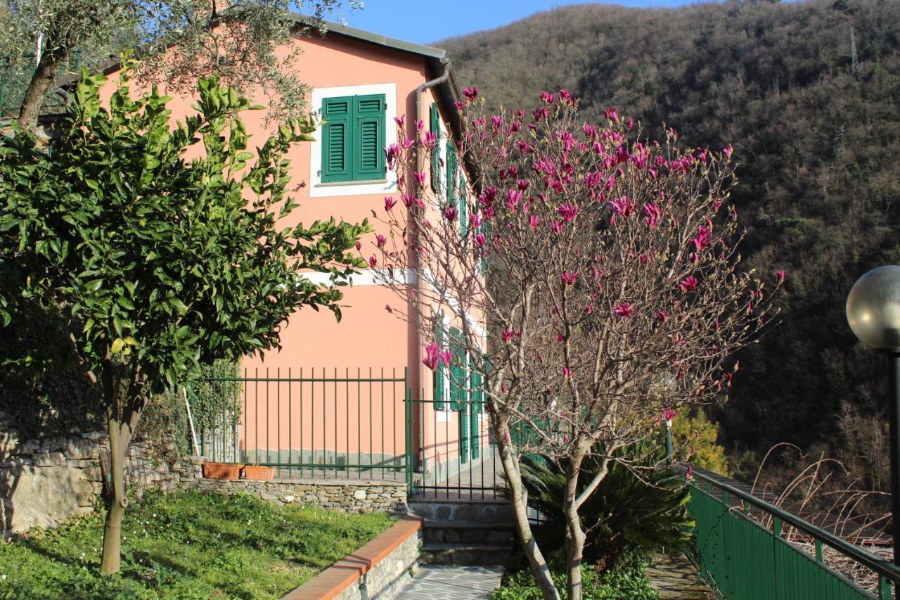 Casa Laura Villa Zoagli Kültér fotó