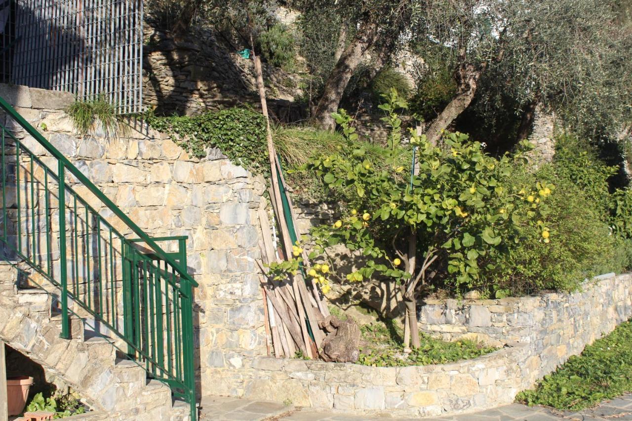 Casa Laura Villa Zoagli Kültér fotó
